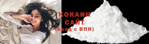 хмурый Осинники