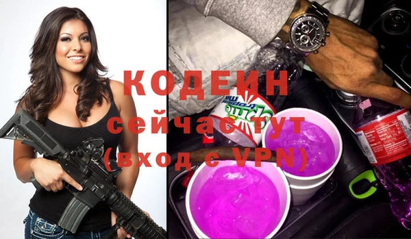 хмурый Осинники