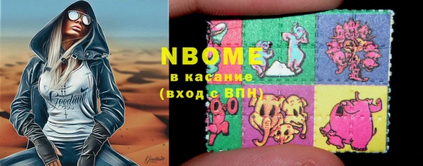 хмурый Осинники