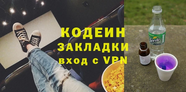 хмурый Осинники