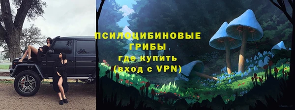хмурый Осинники