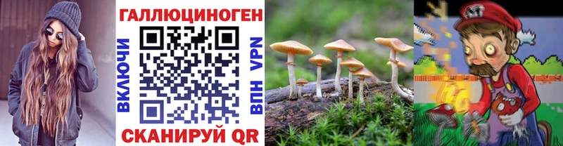 Галлюциногенные грибы ЛСД  ОМГ ОМГ ТОР  Полесск  купить наркотик 